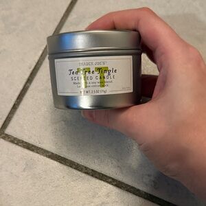 Trader Joes Tea Tree Tingle Scented Candle - Silver